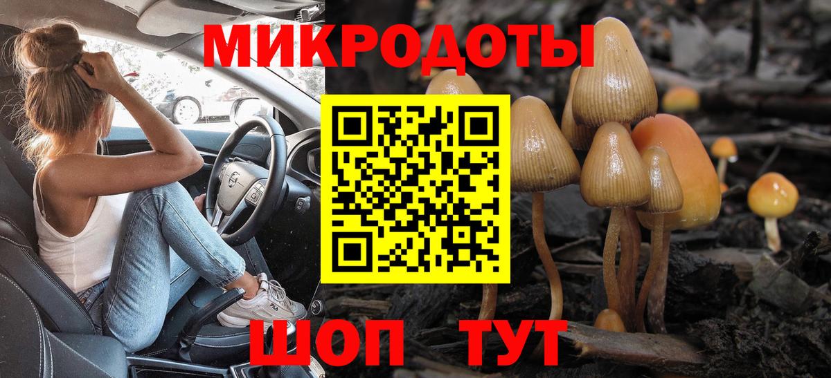 Бузулук  Псилоцибиновые грибы мухоморы  Вход с VPN 